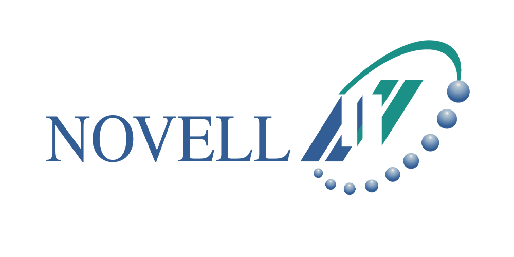 Novel